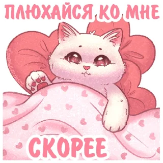 🛌