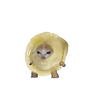 🥟