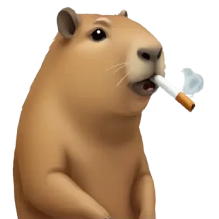 🚬