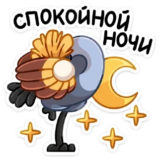 😴