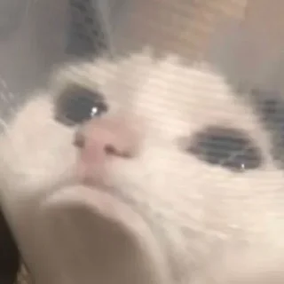 😟
