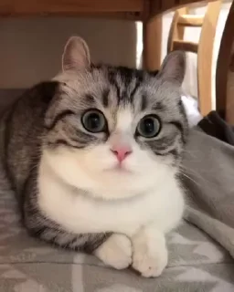 😜