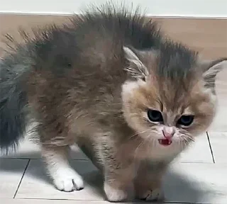 😡