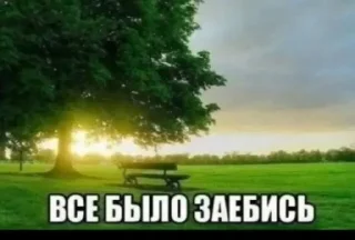 🌳