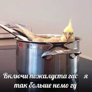 😢