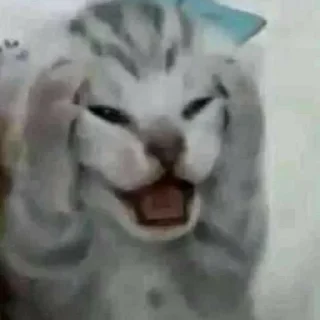 😫