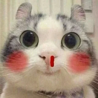 🩸