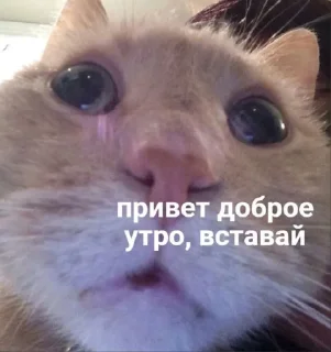 🌞
