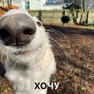 🤤