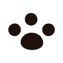 🐾
