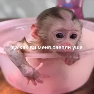 😒