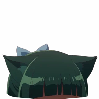 🐱