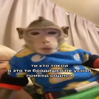 🐵