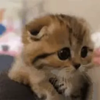 😊