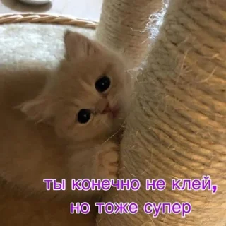 😍