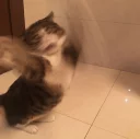 😱