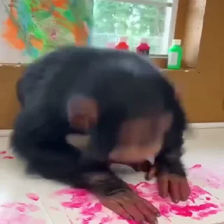 🤣