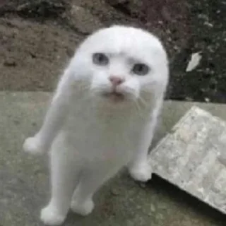 😡