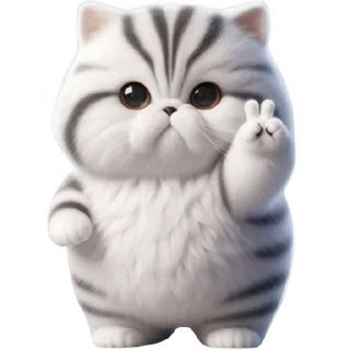✌️