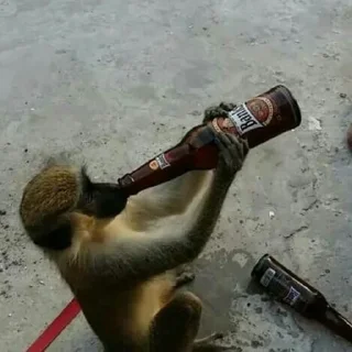 🍺