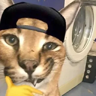 😎