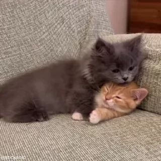 ❤️