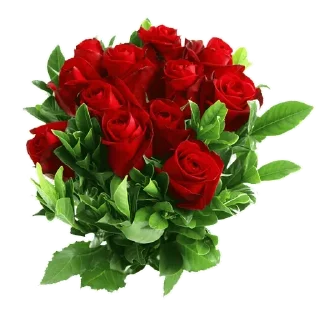 🌹