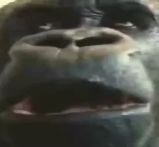 🧠