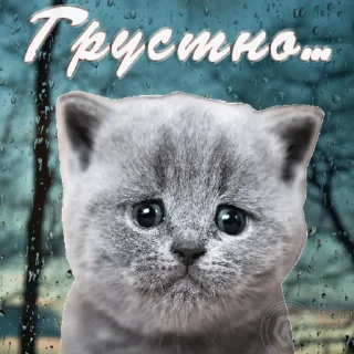 😢