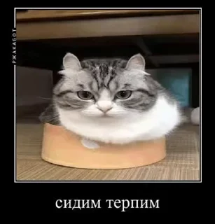 😎