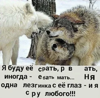 🐺