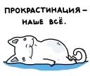 😴