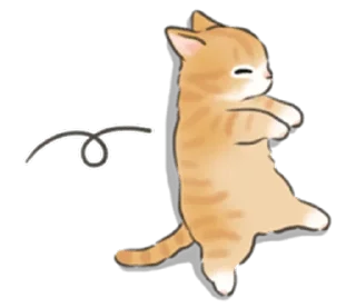 🐱