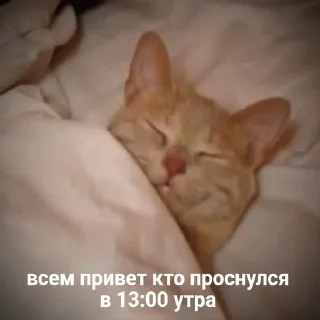 😉
