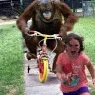 😱