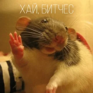 👋