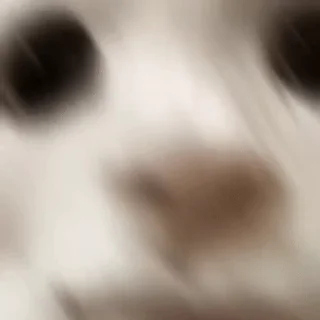 🥴