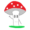 Fly agaric