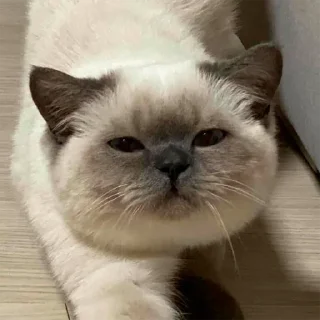 😑