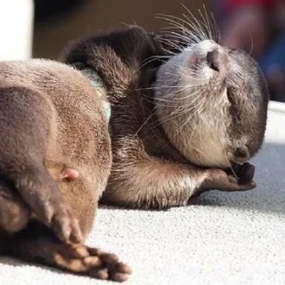 ☺️