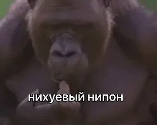💫