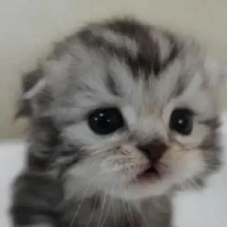 👀