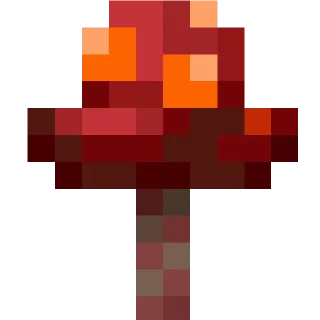 🍄