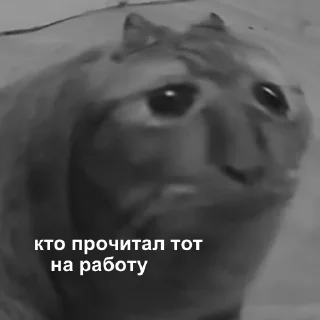 😥