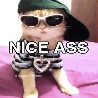 🍑