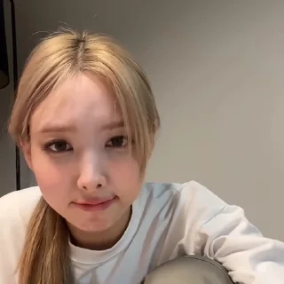 🐰