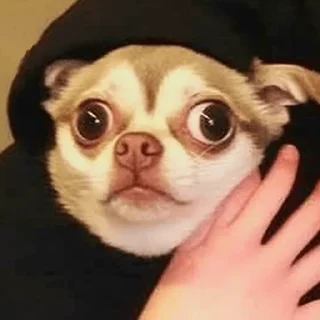 🫢
