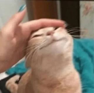 🤲