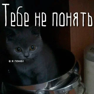 🤭