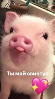 🫶